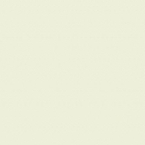 迪拜留学需要考试吗英语