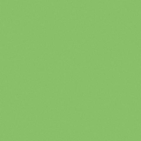 澳门可以留学本科吗